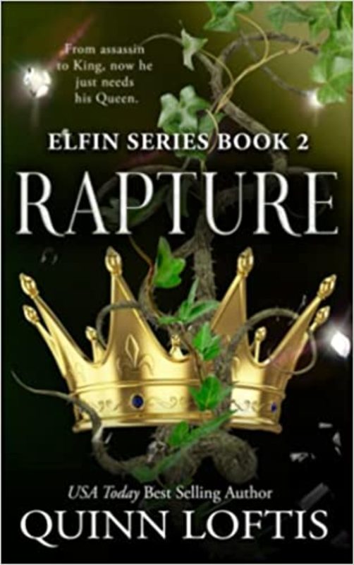 The Elfin book cover