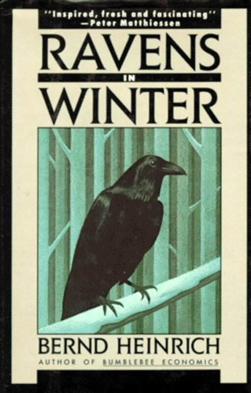 Book cover for "Ravens in Winter" by Bernd Heinrich