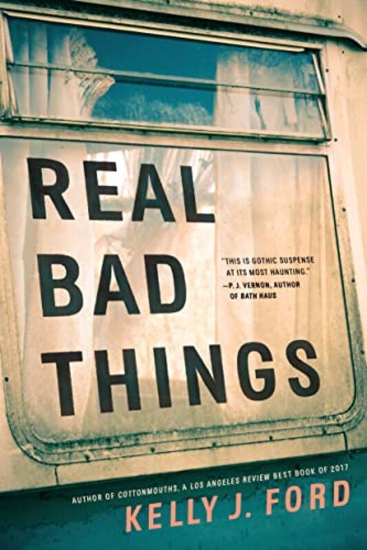 Kelly J Ford book cover