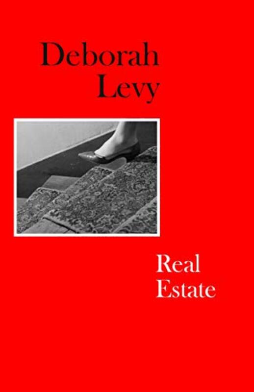 Deborah Levy book cover