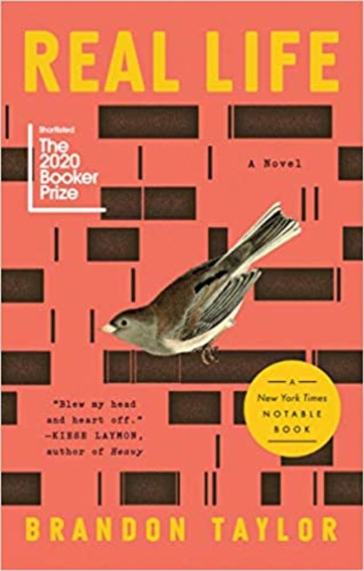 Brandon Taylor book cover