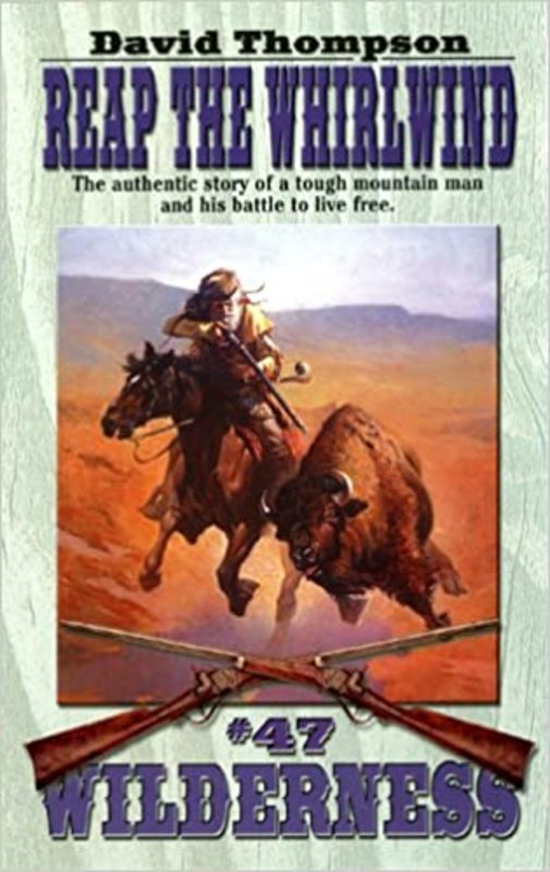 Book cover for "Reap the Whirlwind" by David Robbins
