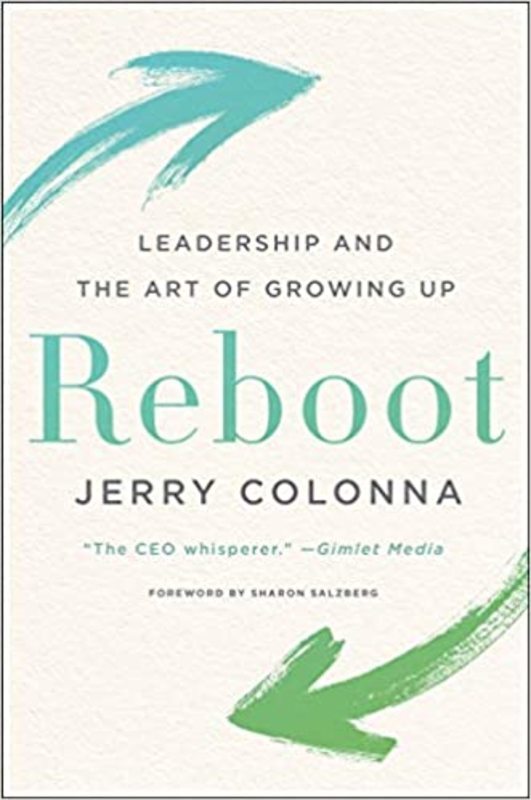 Book cover for "Reboot"