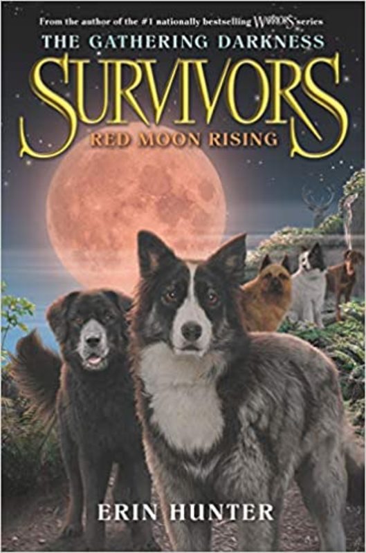 Survivors book cover