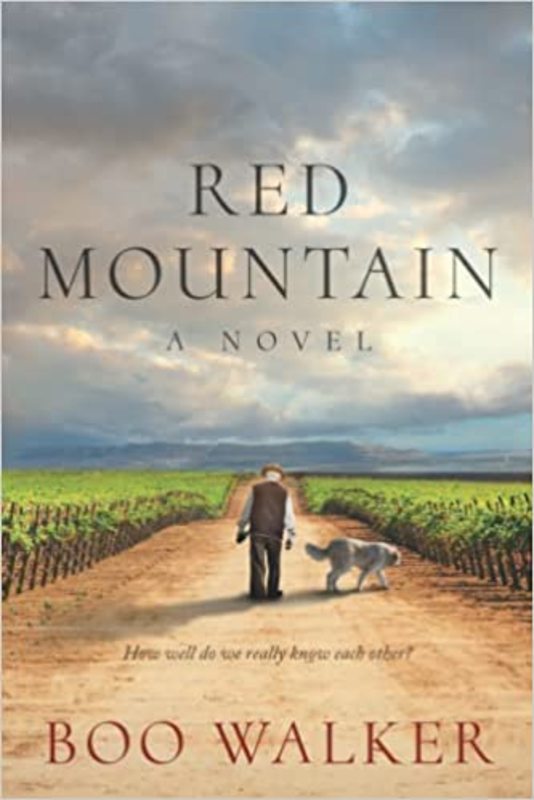 Book cover for "Red Mountain" by Boo Walker