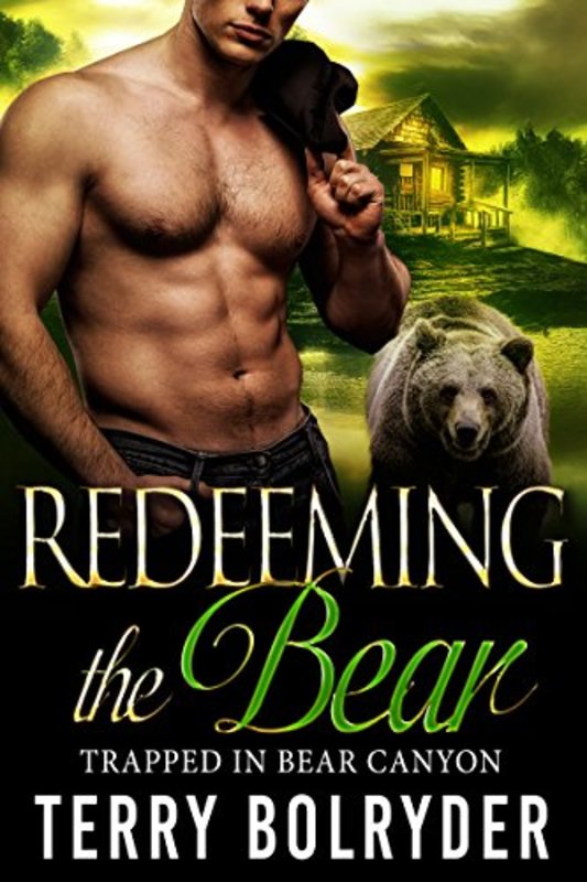 Book cover for "Redeeming the Bear" by Terry Bolryder