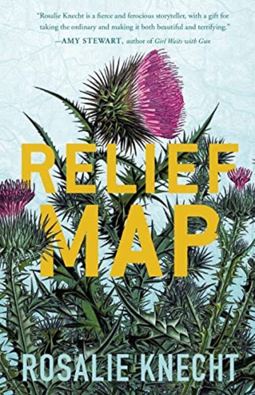 Book cover for "Relief Map" by Rosalie Knecht