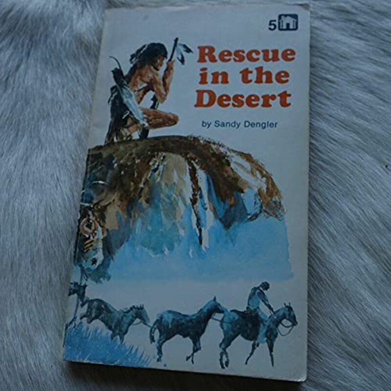 Book cover for "Rescue in the Desert" by Sandy Dengler