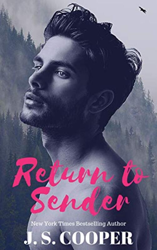Book cover for "Return To Sender" by JS Cooper