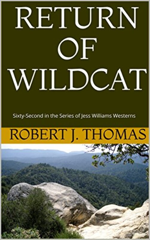 Book cover for "Return of Wildcat" by Robert J Thomas