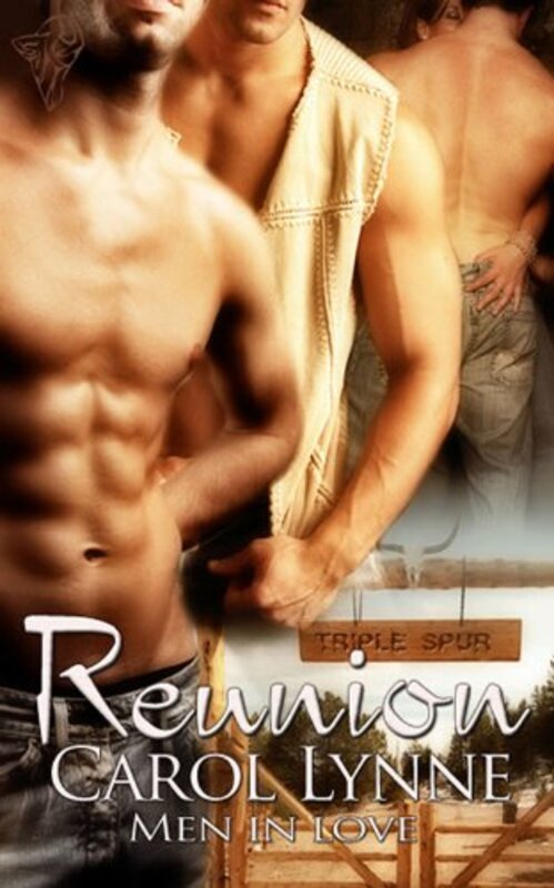 Book cover for "Reunion" by Carol Lynne