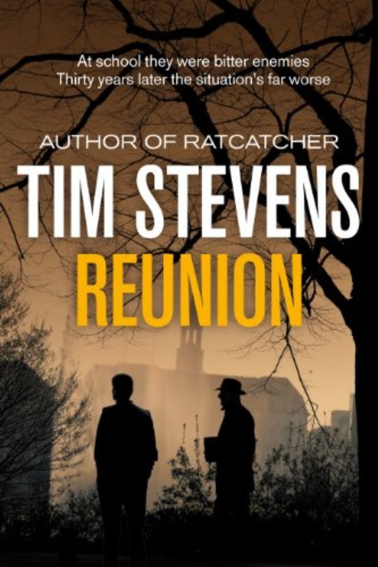 Book cover for "Reunion" by Tim Stevens
