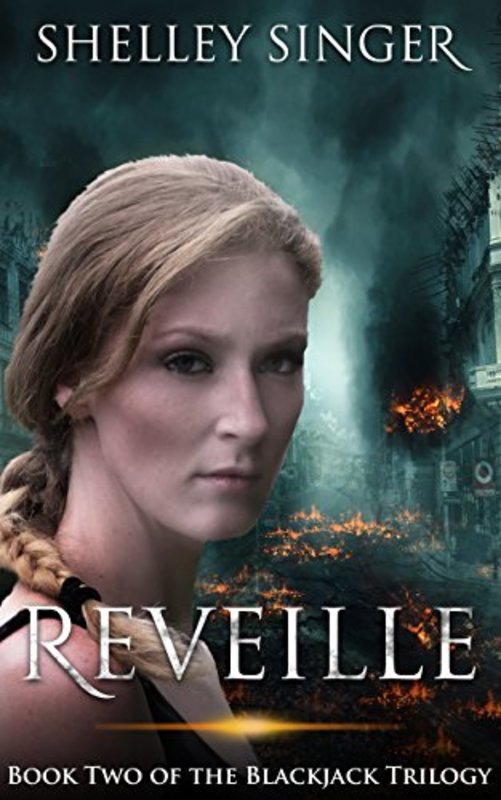 Shelley Singer book cover