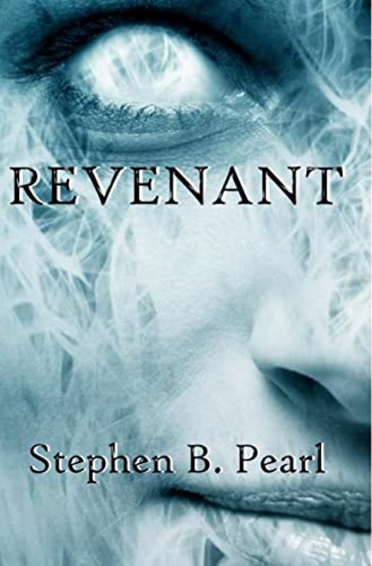 Stephen B Pearl book cover
