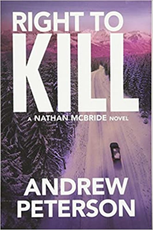 Nathan McBride book cover