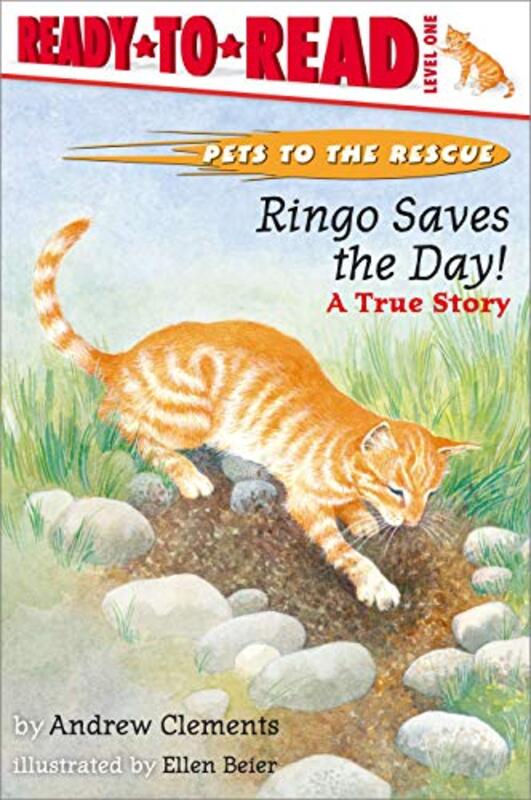 Book cover for "Ringo Saves The Day!" by Andrew Clements