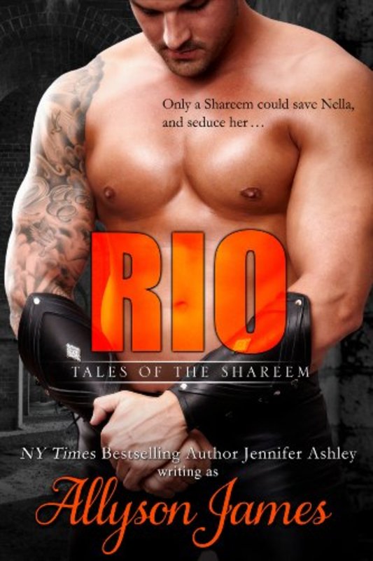 Book cover for "Rio" by Allyson James
