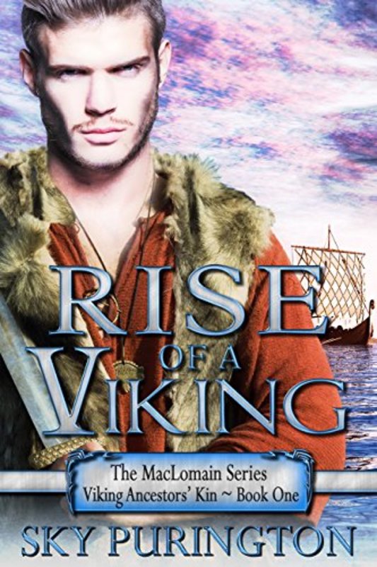 Book cover for "Rise of a Viking" by Sky Purington
