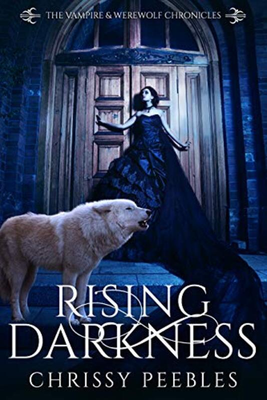 Book cover for "Rising Darkness" by Chrissy Peebles