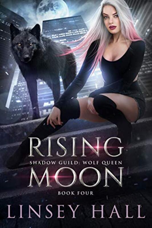 Shadow Guild book cover