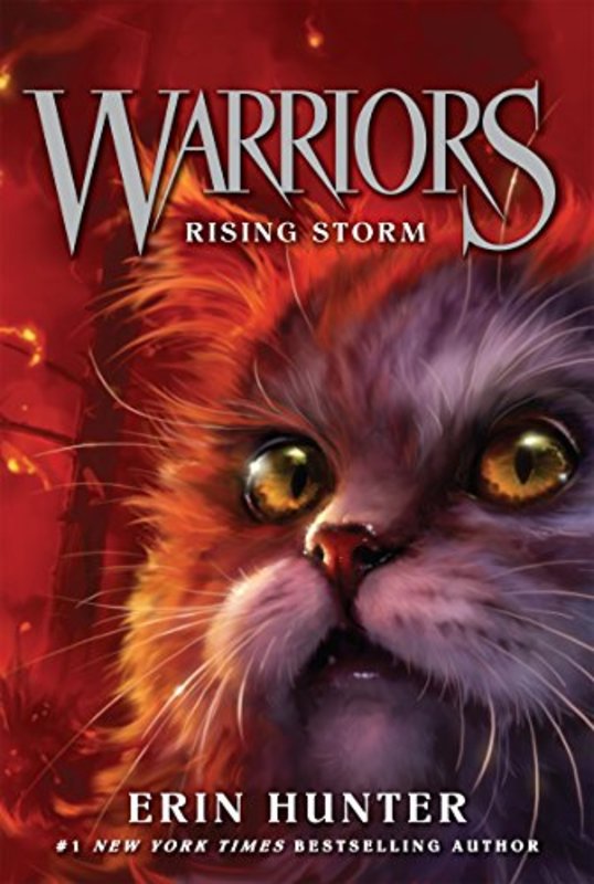 The Warriors book cover