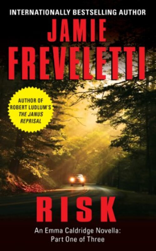 Book cover for "Risk" by Jamie Freveletti