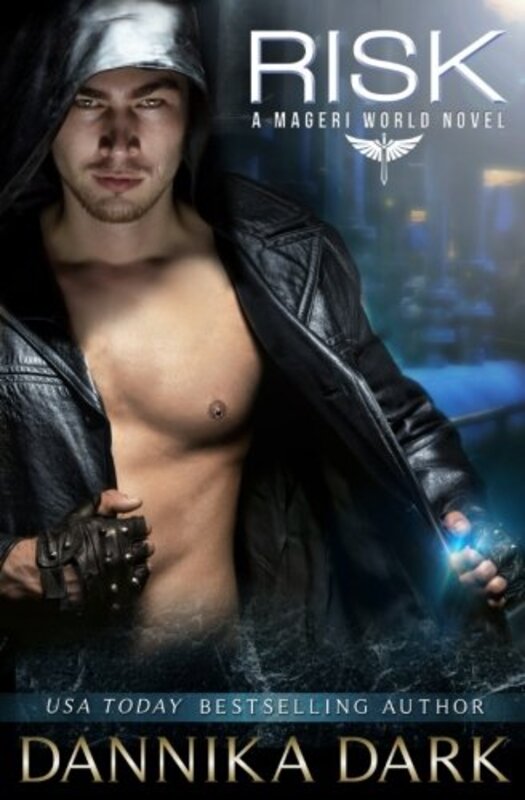 Book cover for "Risk" by Dannika Dark