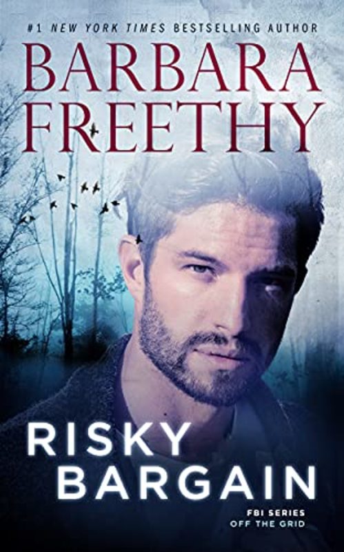 Book cover for "Risky Bargain" by Barbara Freethy