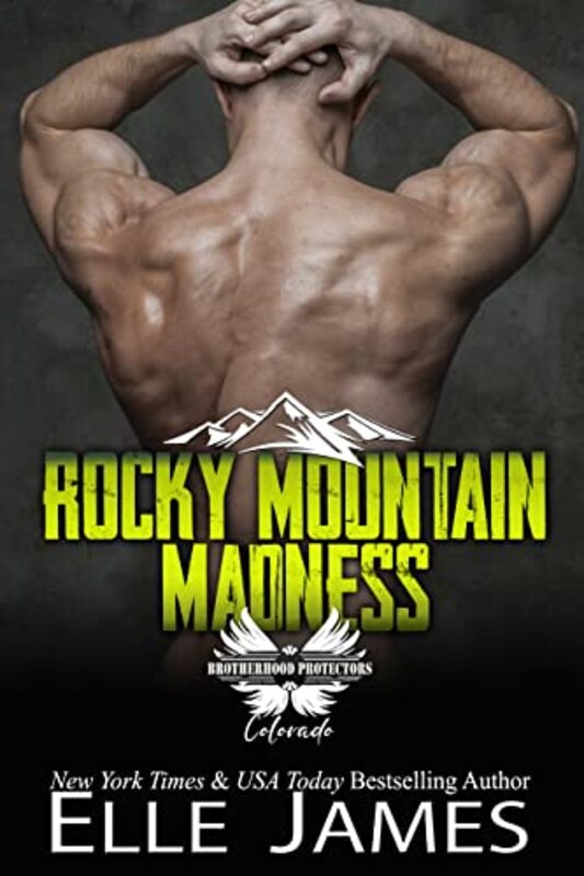 Book cover for "Rocky Mountain Madness" by Elle James