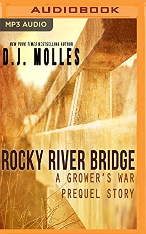 Book cover for "Rocky River Bridge" by DJ Molles