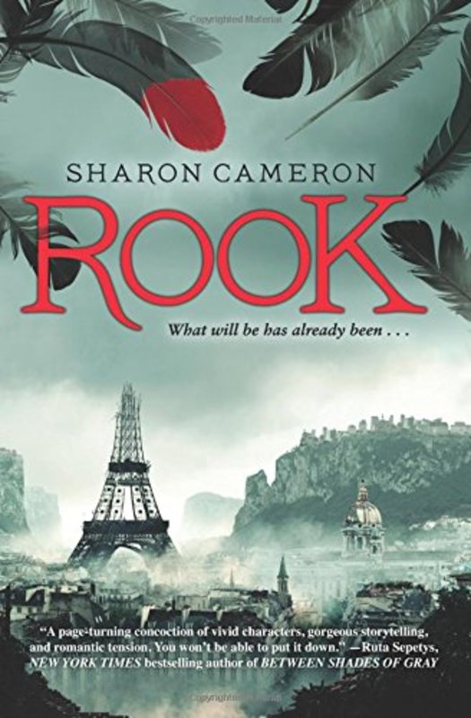 Book cover for "Rook" by Sharon Cameron