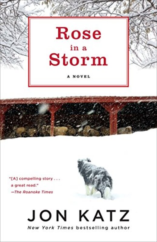 Book cover for "Rose in a Storm" by Jon Katz