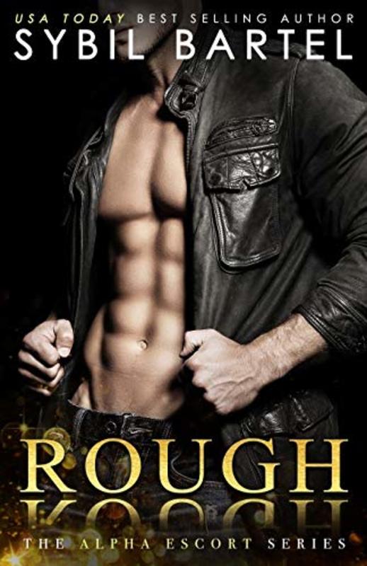 Book cover for "Rough" by Sybil Bartel