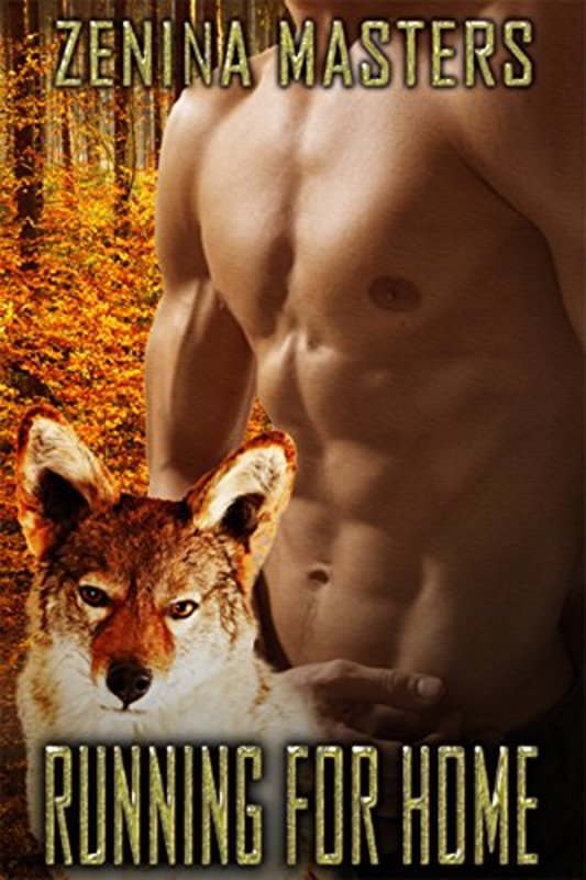 Book cover for "Running For Home" by Viola Grace