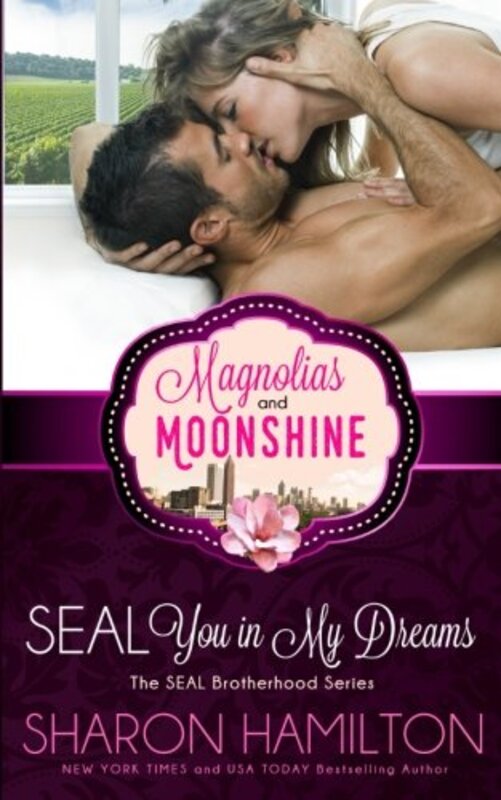 SEAL Brotherhood book cover