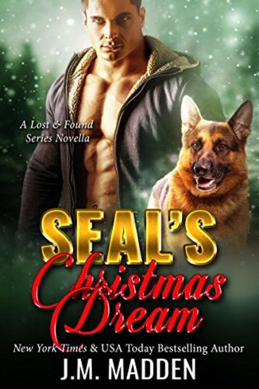 Book cover for "SEAL's Christmas Dream" by JM Madden