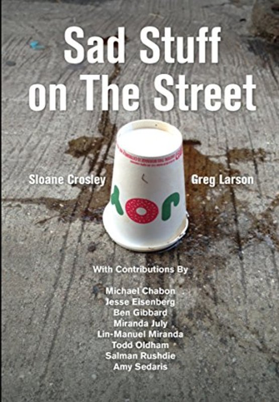 Sloane Crosley book cover