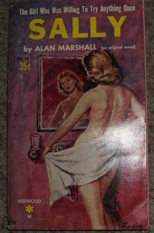 Book cover for "Sally" by Donald E Westlake