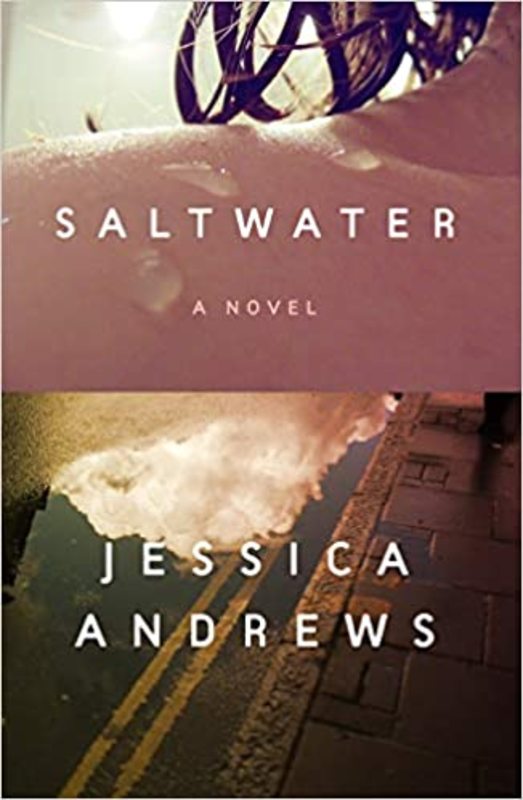 Jessica Andrews book cover