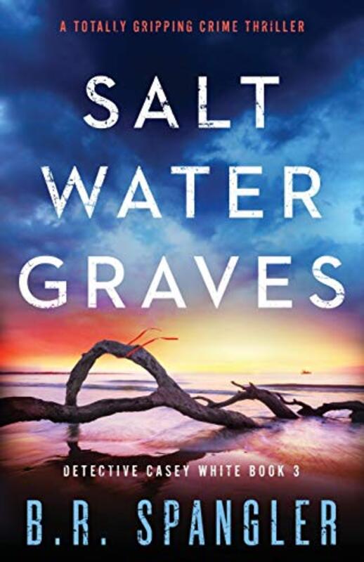 Book cover for "Saltwater Graves" by BR Spangler