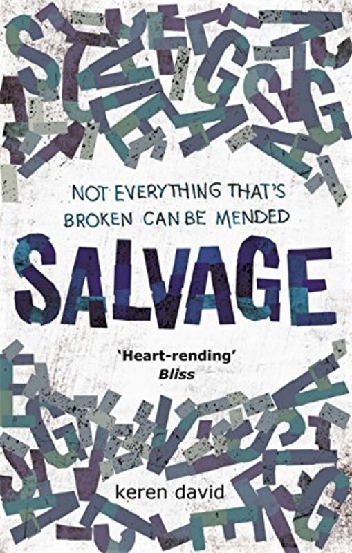 Book cover for "Salvage" by Keren David