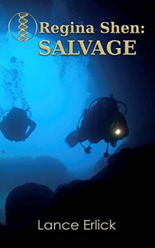 Book cover for "Salvage" by Lance Erlick