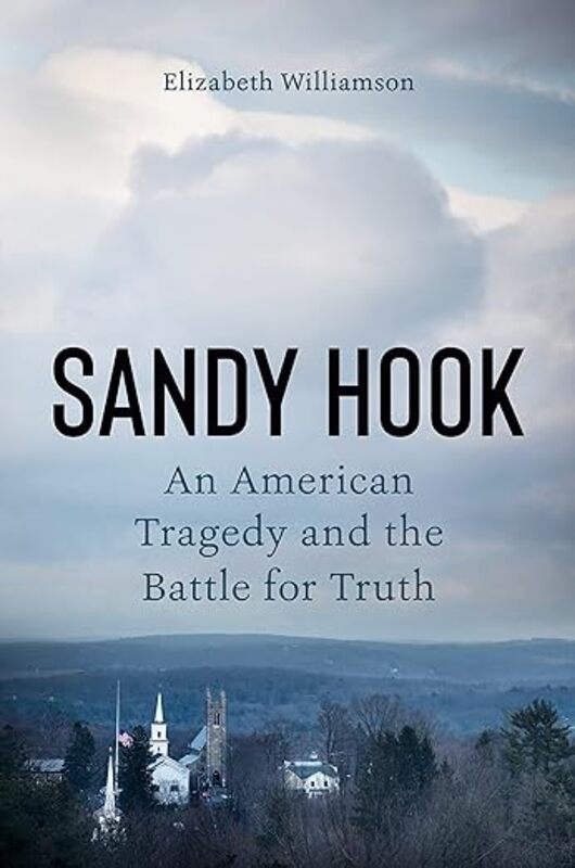 Book cover for "Sandy Hook" by Elizabeth Williamson