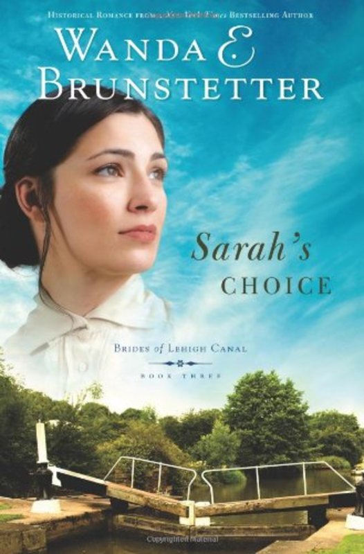 Book cover for "Sarah's Choice" by Wanda E Brunstetter