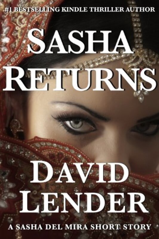 Book cover for "Sasha Returns" by David Lender