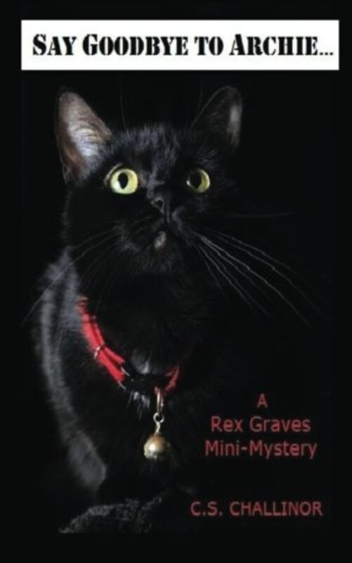 Book cover for "Say Goodbye to Archie" by CS Challinor