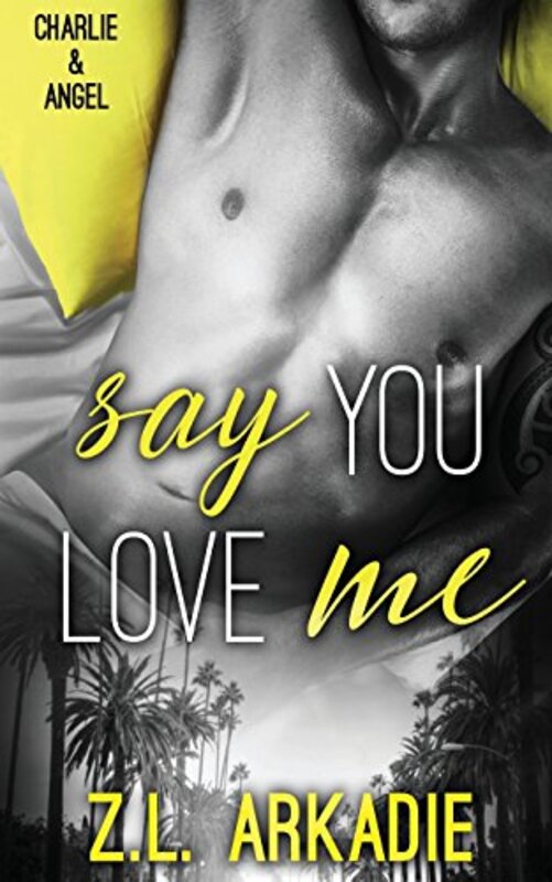 Love In The USA book cover