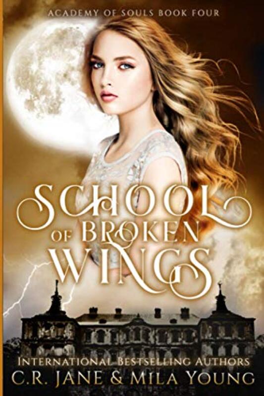 Book cover for "School of Broken Wings" by Mila Young