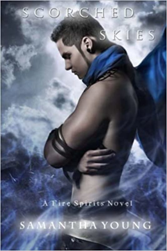 Fire Spirits book cover