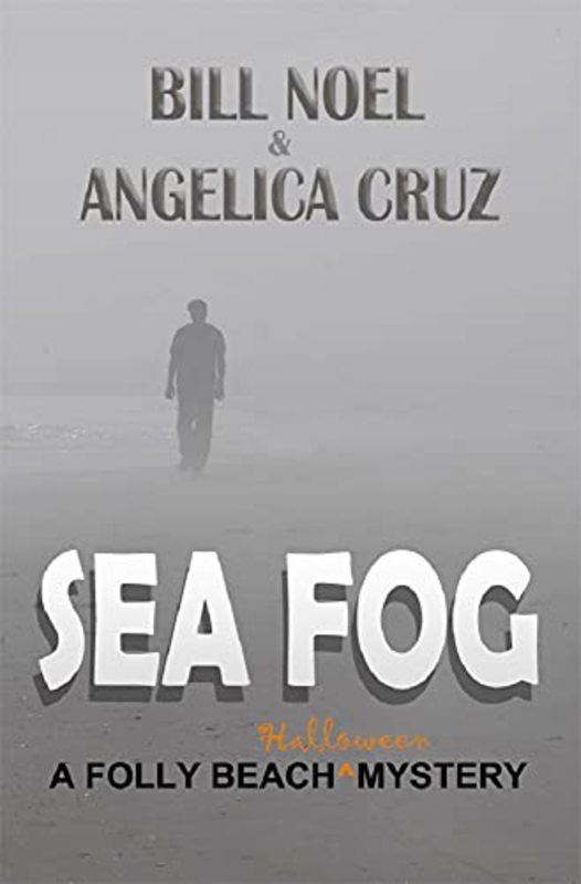 Folly Beach Mystery book cover